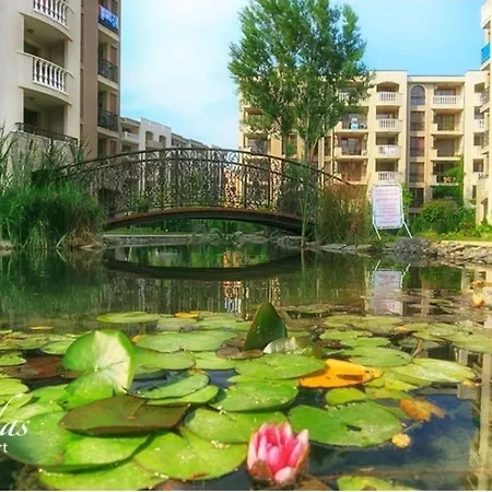 Cascadas Pool View Luxury Sunny Сонячний Берег